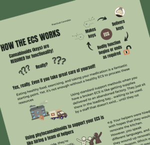 How the ECS works