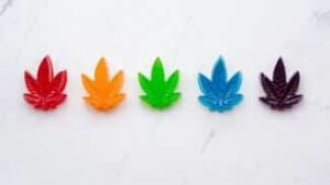 Infused Edible Gummies