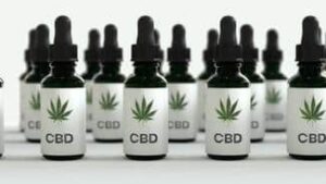 CBD Oil